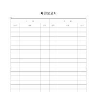 재정 보고서 재정 보고서